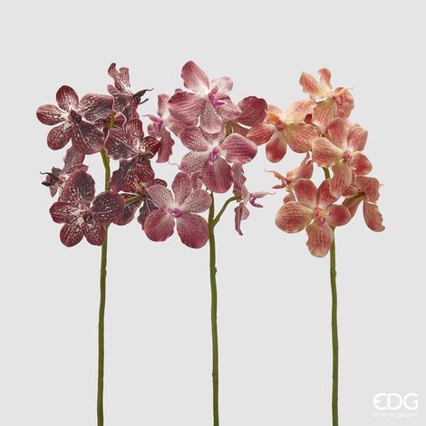 EDG Ramo Orchidea Vanda Arancione Scuro H 70 cm