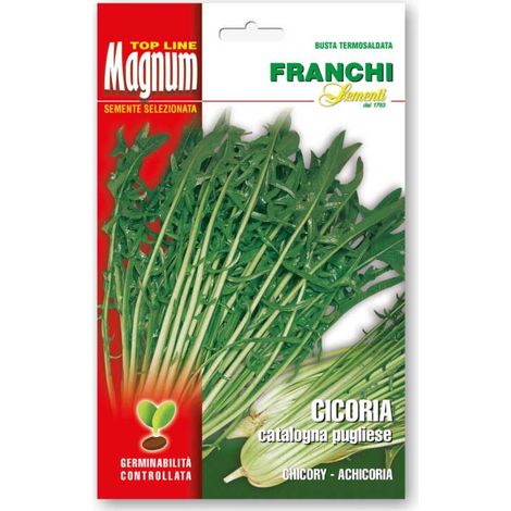 SEMI CICORIA CATALOGNA PUGLIESE FRANCHI SEMENTI