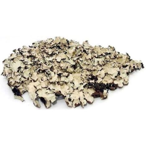 Schwarze Flechte 100g (1/5)