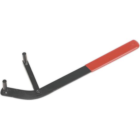 Sealey Camshaft Positioning Tool VS173 (1/2)