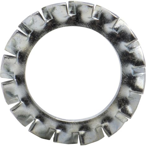 Rondelle éventail type AZ zinguée Viswood Ø 6mm (lot de 40 rondelles)