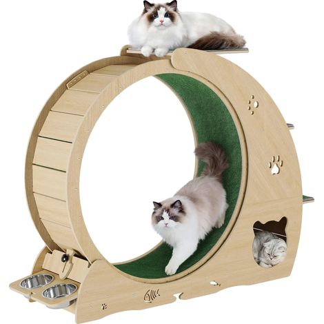 Ruota per esercizi per gatti, design multifunzionale, funzionamento silenzioso, naturale (1/2)
