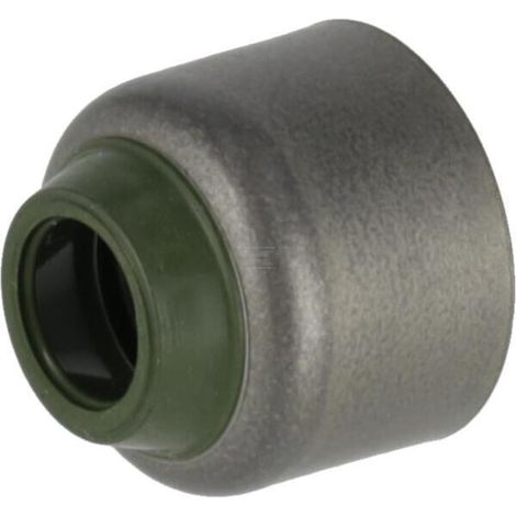 Joint de soupape BRIGGS & STRATTON 793507 (1/2)