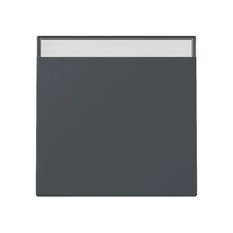Gira Wippe BSF System 55 Anthrazit [329928], 3299 28
