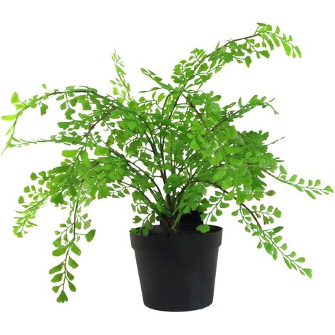 35cm Artificial Potted Fern Plant (Southern Maidenhair Fern) (1/4)
