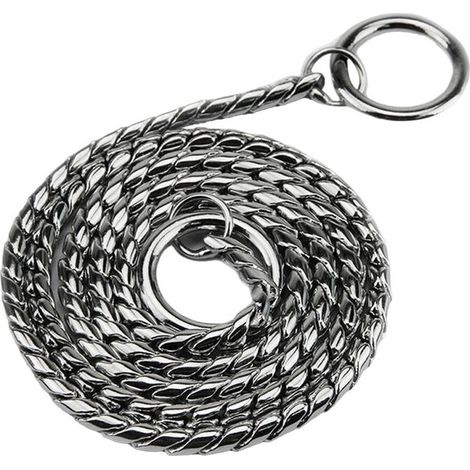 Laisse et collier 2 en 1 pour le dressage et les expositions, QttvbTna, acier titane, 45 cm, argent (1/5)