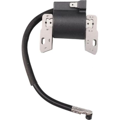 Bobine d'allumage haute tension compatible avec les références 591420, 395489, 398593, 397316 et 496914 (1/3)