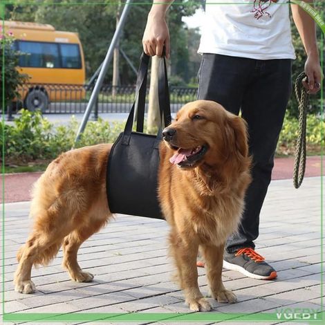 Harnais de soutien pour chien - FAFEICY - VGEBY - Noir - Poignée antidérapante - Doublure coton, tailles S-XL (1/5)