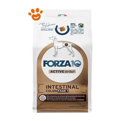 Forza10 Cane Veterinary Intestinal Colon fase 1 4 kg