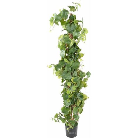 Cep de vigne artificiel en pot H 140cm