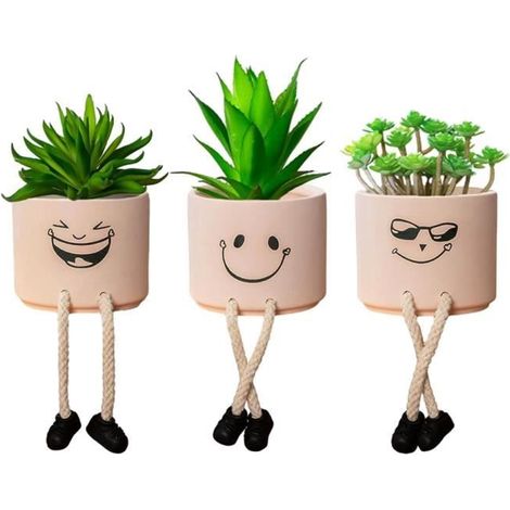 Plante Grasse - Artisanat - Pot en céramique - Décoratif - Intérieur - Style contemporain (1/4)
