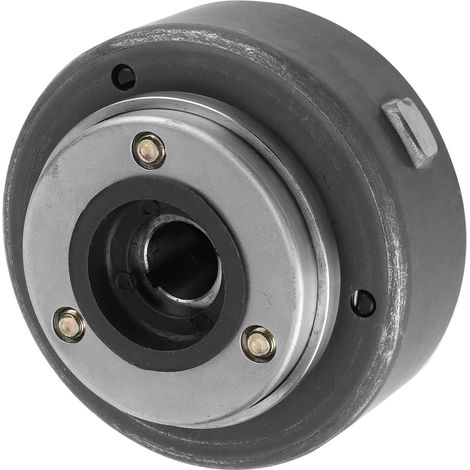 Rotor de magnéto à 6 pôles pour moteurs horizontaux à démarrage électrique de 50 à 125 cm3 (1/5)
