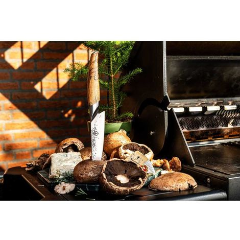 Couteau de chef - FORGÉ - KATAI - Acier VG10 - Manche en bois de racine - Longueur : 16 cm (1/3)