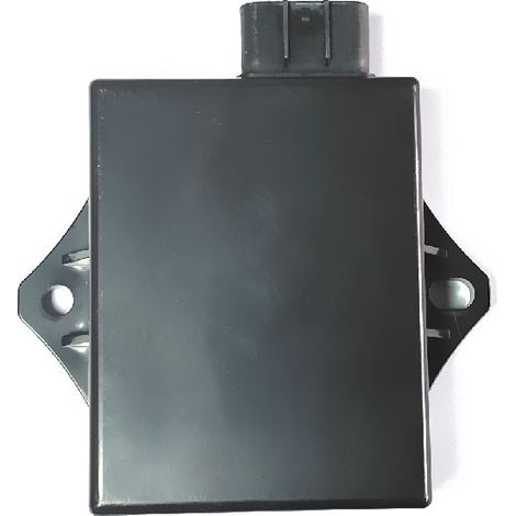 CDI kompatibel mit Yamaha Bear Tracker 250 2001-2004 OE: 4XE-85540-00 (1/4)