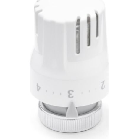Testa termostatica sensore liquido ivr termosifoni accessori