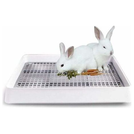 BUNTHAUS Petit bac à litière avec cage grillagée pour rats, hamsters, furets, lapins et cochons d'Inde