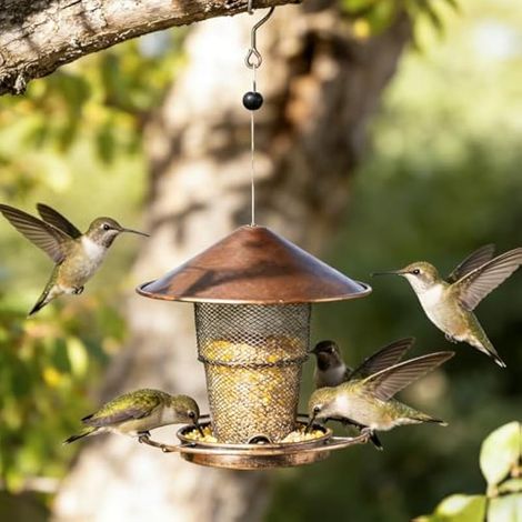 Distributeur de nourriture pour oiseaux, en métal, pliable, 820 ml, à suspendre, résistant aux intempéries, pour jardin, balcon, laiton (1/5)