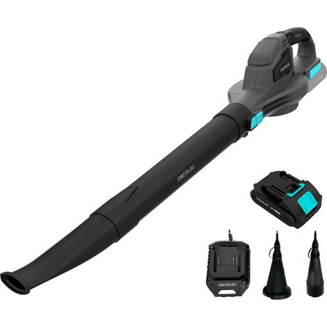 Soffiatore ultraleggero. Batteria 21 V. Velocità fino a 241 km/h. Velocità regolabile. Accessori per il gonfiaggio.