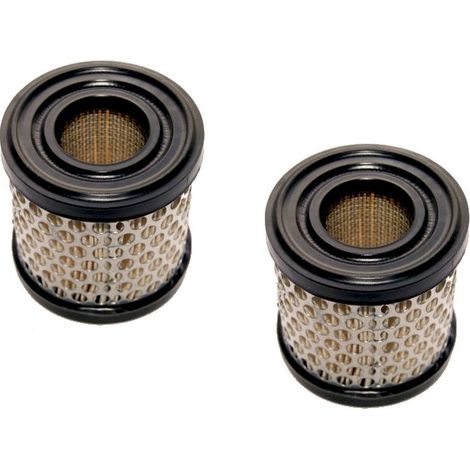 Filtre à Air Adaptable Pour Briggs & Stratton: Series 60100, 80200, 80300, 80400, 81200, 81300, 81400, 92900, 93500, 110900, 112 (1/3)