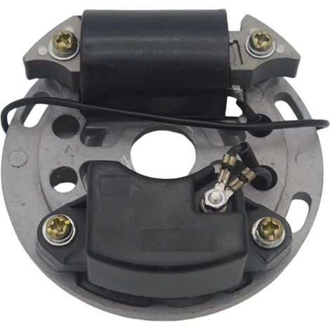 Applicable aux bobines d'allumage haute tension et aux modules d'allumage CDI pour motoculteurs Stihl MS070 et MS090. (1/3)