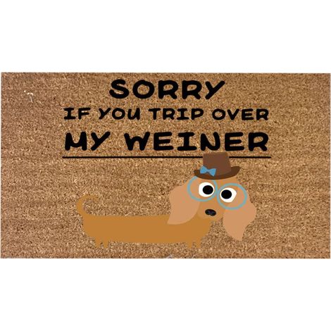Tapis D'Entrée En Coco - 40 x 60 cm - Antidérapant - Pour Porte D'Entrée Intérieure Ou Extérieure - 1 Pièce (1/5)