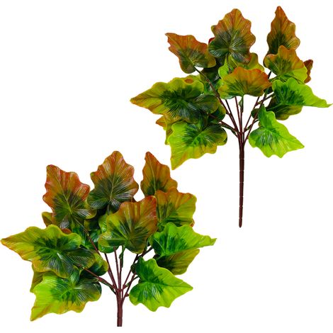 Braune Alocasia – Alocasia-Blätterstrauß, 38 cm langer Blütenstand (1/5)