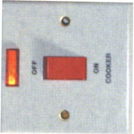 Primaflow 13A Fused Spur Switched/Neon (1/2)