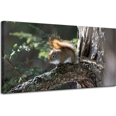 Leinwanddruck Tiere Eichhörnchen 120x60 cm
