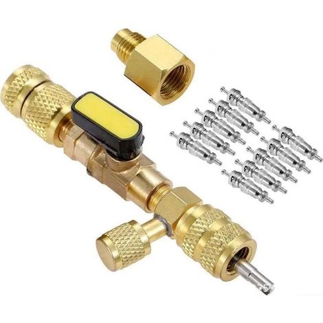 Extracteur/installateur de noyau de valve Vanne de déconnexion en laiton SAE 1/4 et 5/16 double taille pour éviter les fuites de réfrigérant pour R12 R22 R410A (1/5)