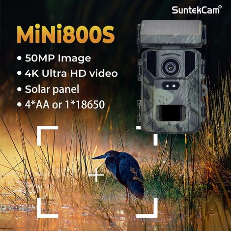 Caméra de chasse extérieure à panneau solaire, mini caméra HD à suivi infrarouge résistante à la pluie et à la buée, vert militaire -