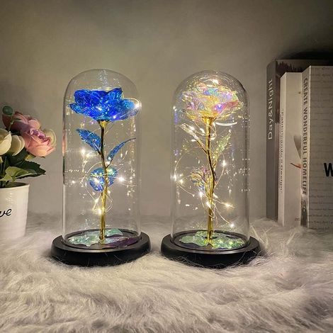 2Stk Ewige Rosen LED Weiß und Blau unter Glasglocke, Dekorative Lampen mit Beleuchtung, Romantische Innenbeleuchtung für Hochzeit Schlafzimmer Event Dekoration