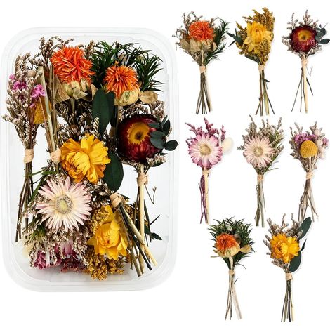 8 Pièces Mini Bouquets Fleurs Séchées Naturelles, Petit Bouquet (1/5)