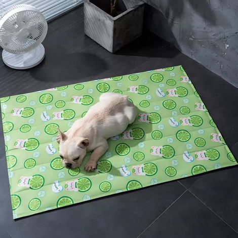Tapis de refroidissement pour chien extérieur – Confortable en PVC souple antidérapant pour chat, parc, plage, pique-nique, balcon, pelouse, salon (1/4)