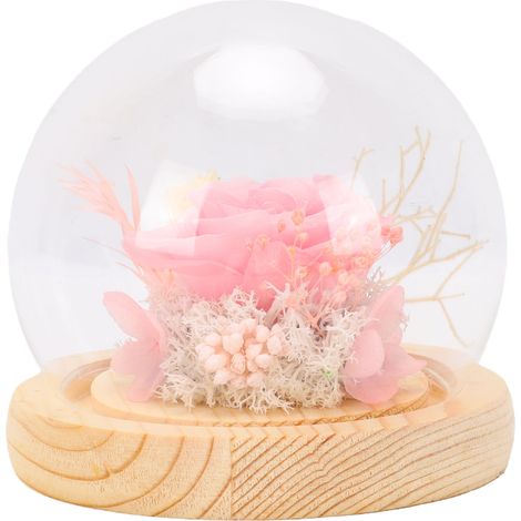 Rose préservée sous dôme de verre anti-poussière cadeau floral élégant pour Noël, anniversaires rose (1/5)