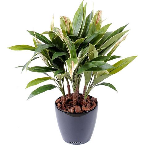 Dracaena artificiel type cordyline en pot H 85 cm feuilles tissu (1/3)