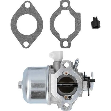 pair Carburateur Briggs & Stratton 699831 694941 499158 (1/4)