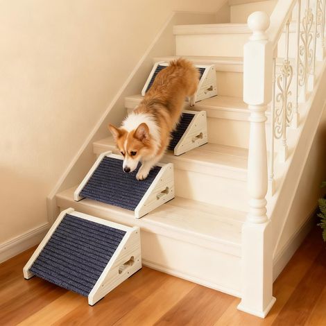 4 Pièces Escalier pour Chien, Marches Antidérapantes avec Moquette  Rampes à Angle Bas Pour Petits Chiens, Animaux de Compagnie (1/5)