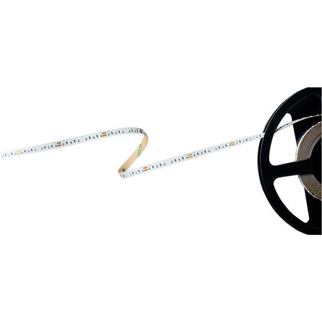 Barthelme Basic 120 51540913 LED-Streifen mit offenem Kabelende 24 V 5 m Grün 1 St.
