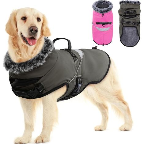 Manteau chien imperméable avec harnais réfléchissant (1/5)