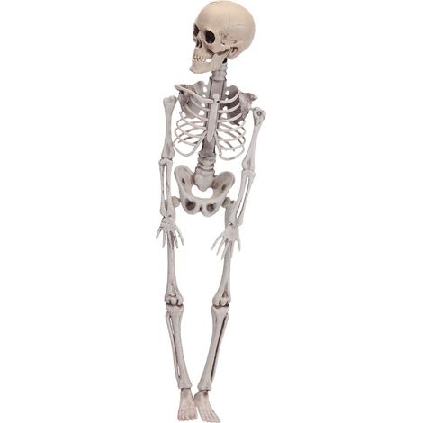 Figura scheletro di Halloween 42 cm (1/3)