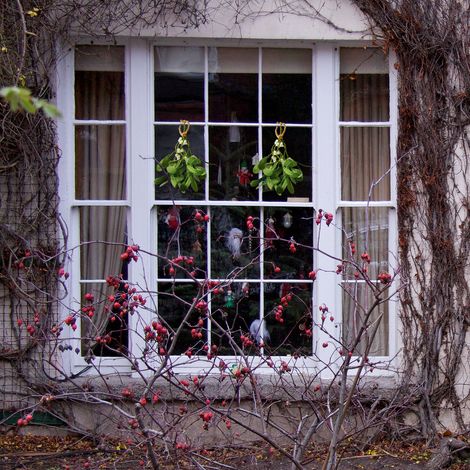 Feuilles de Gui Artificiel pour Décoration de Noël (1/5)