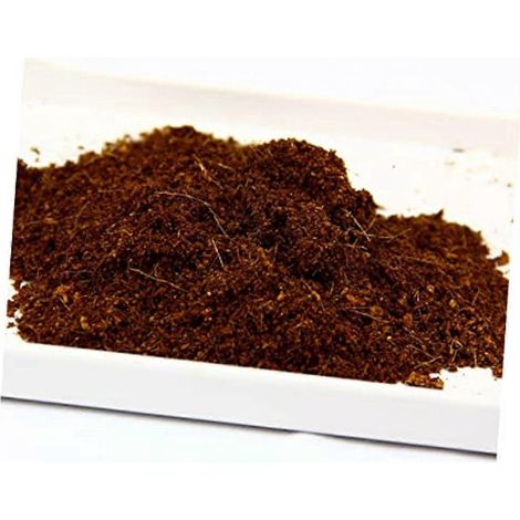 Carreaux de fibre de coco compressée de qualité supérieure 5 x 1,5 cm, 100 % fibre de coco biologique -- (1/5)