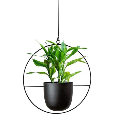 MINKUROW Fioriera Sospesa In Metallo,Piante Sospese,Vasi Da Fiori Sospesi Porta Piante,Soffitto Del Balcone Decorazione Giardino Interno Esterno,Con Catena Sospesa,Nero (1/5)