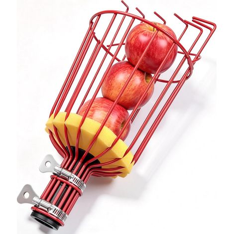 Tête de panier à fruits à visser, outil de récolte de fruits robuste pour pomme, avocat, mangue, orange, citron, poire (tête uniquement (1/5)