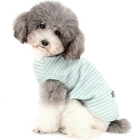 [RM]Pull pour petits chiens et chats, T-shirt rayé d'été, débardeur basique doux et respirant, vêtements pour Chihuahua, vert (1/5)