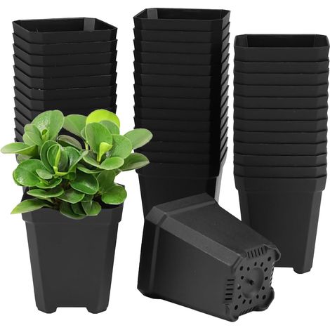 100 x 2 cm Nursery Pots, Plastic Square Seedling Bucket  Small Seedling Pot with Holes in the Bottom, for Various Plants, Flowers, Seedlings, Cuttings, Grafts (Black) (1/5)