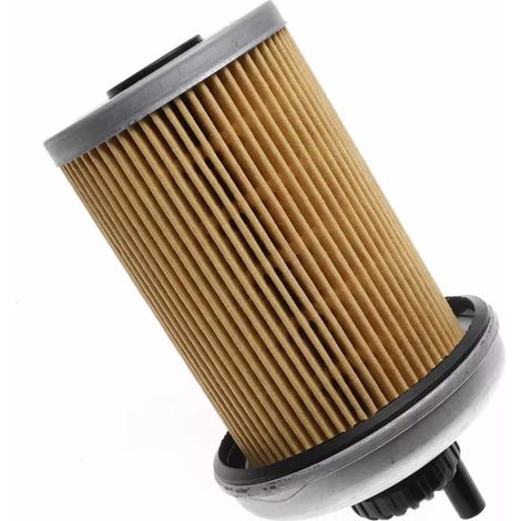 Le filtre à carburant TP1256 convient aux Chevrolet C1500, C2500 et C3500. (1/5)