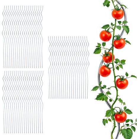 Tomaten Spiralstab verzinkt 110 cm - 60er Set - Metall Rankstab für Tomatenpflanzen