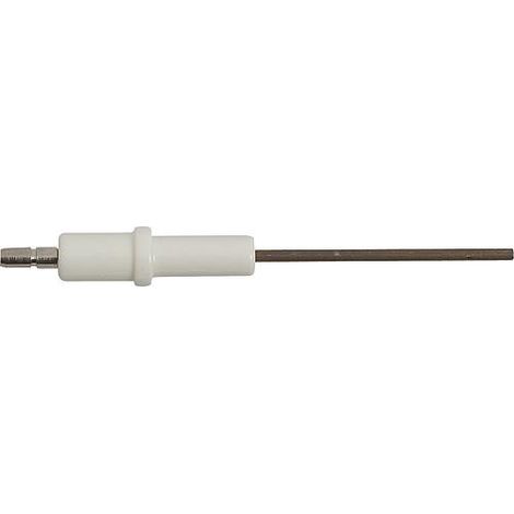 Electrode d ionisation convient pour Rapido Econpact 15-50