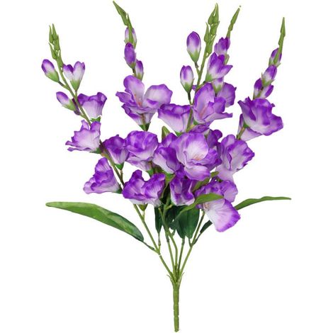 Bouquet de 5 glaïeuls violets, 60 cm de haut (1/3)